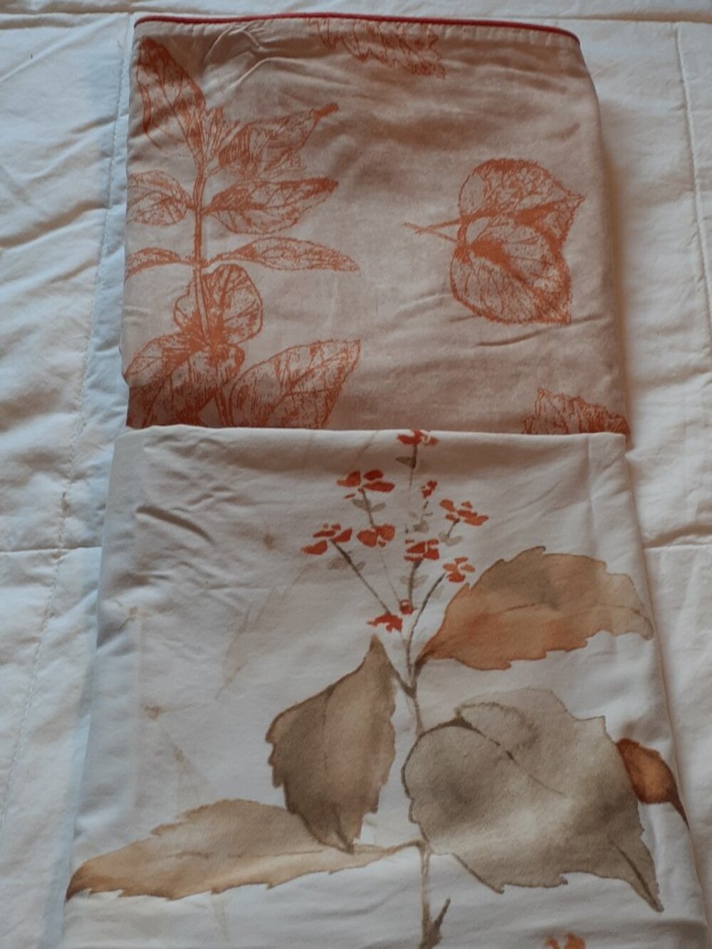 Cozy Autumn Aesthetic QE Home Botanical Print 2 King Size Pillow Shams